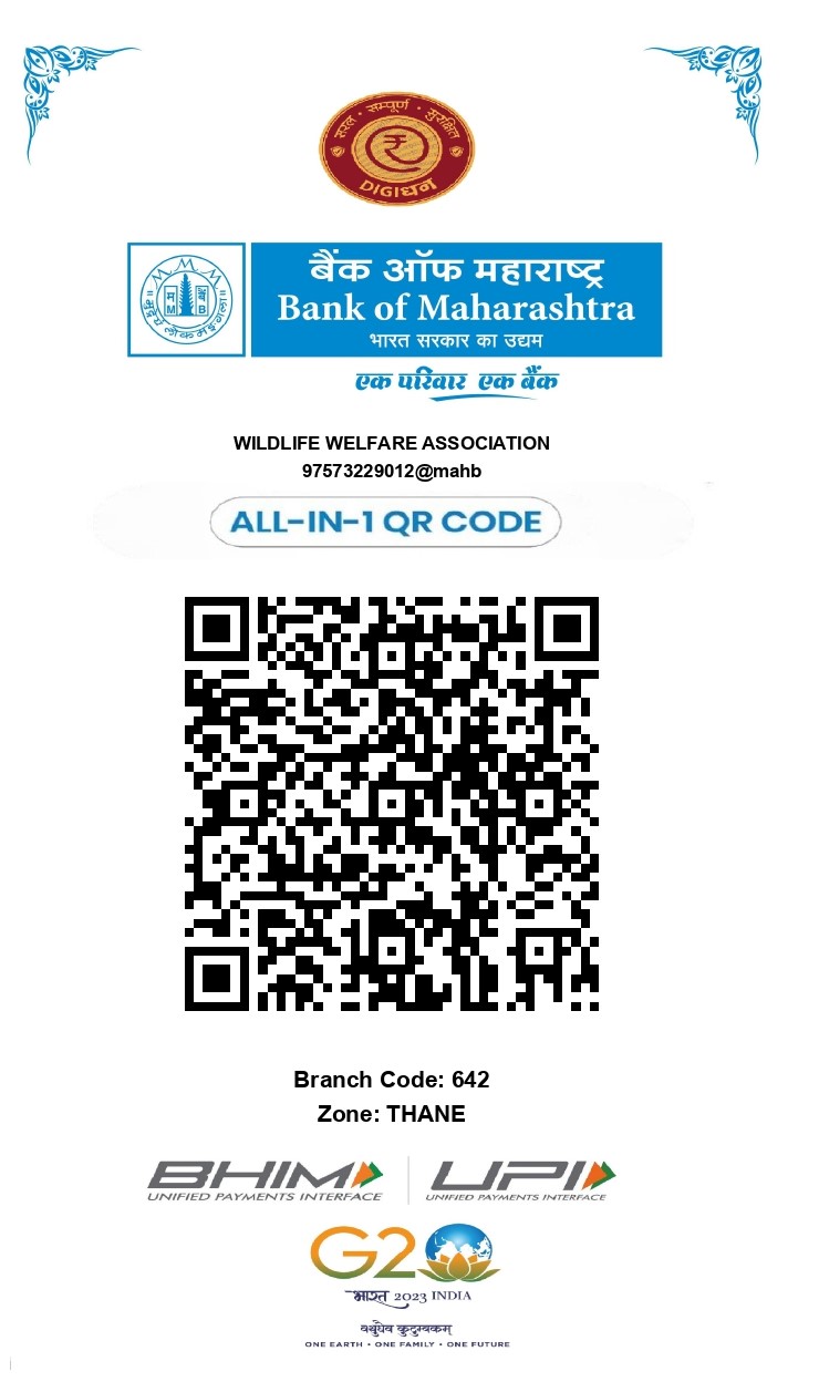 QR Code Donation