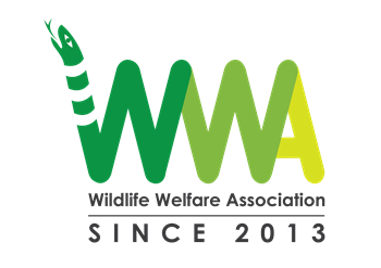 Wildlife Welfare Association
