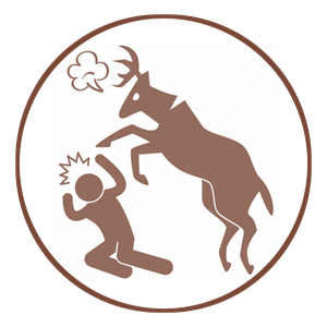 Human Animal Conflict Management