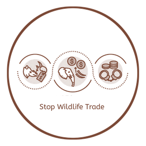 Wildlife Conservation Enforcement