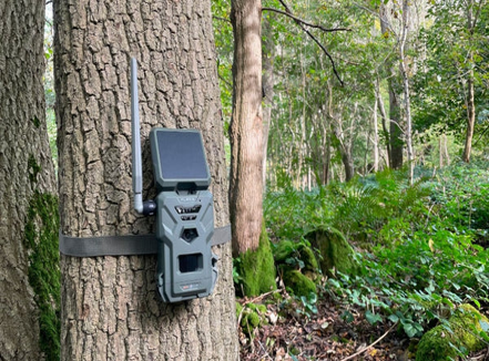 Trail Camera