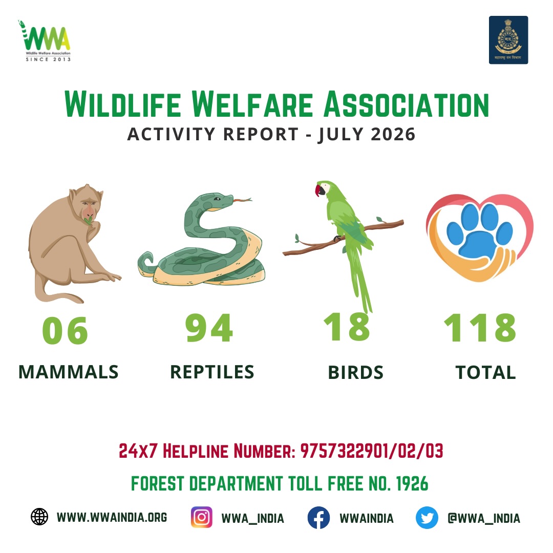 ACTIVITY REPORT FOR THE MONTH July 2026

To continue our mission please support us..!

https://www.wwaindia.org/home/don