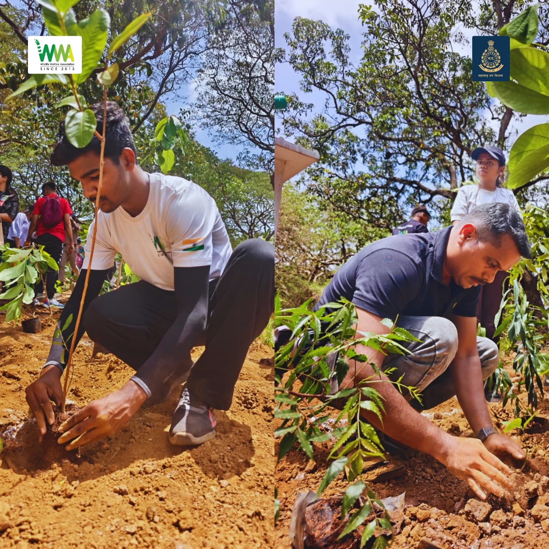 WORLD ENVIRONMENT DAY

On Environment Day, WWA and SGNP organized a large-scale tree-plantation drive in the SGNP forest
