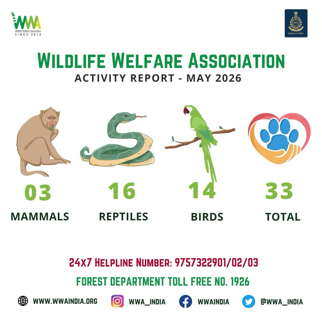 ACTIVITY REPORT FOR THE MONTH MAY 2026

To continue our mission please support us..!

https://www.wwaindia.org/home/dona